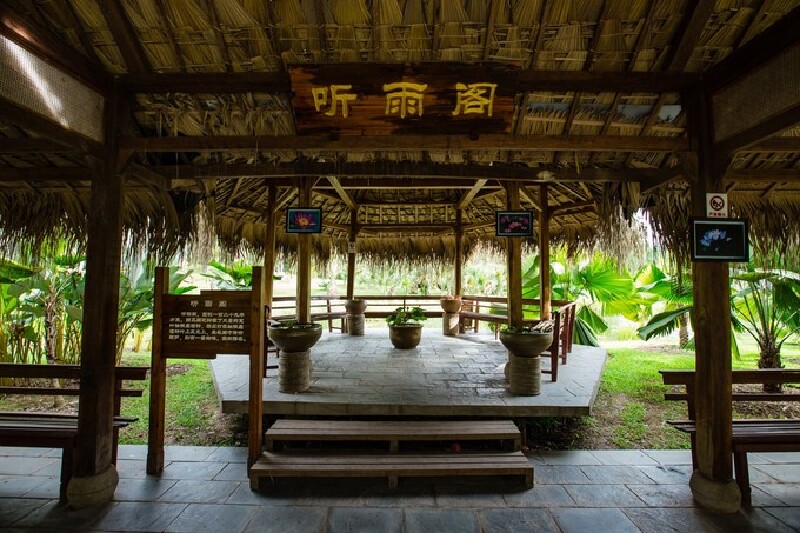 西双版纳 | 奔走在北纬21度,恋上傣乡雨林的那阵风_西双版纳傣族园