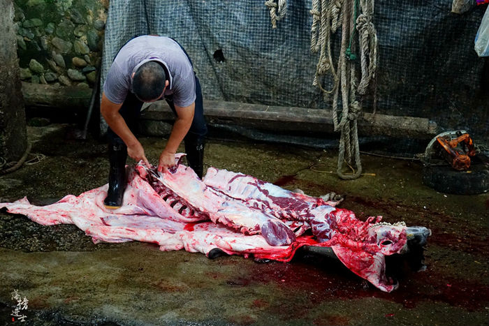 看《大鱼海棠》,探秘土楼里的世界