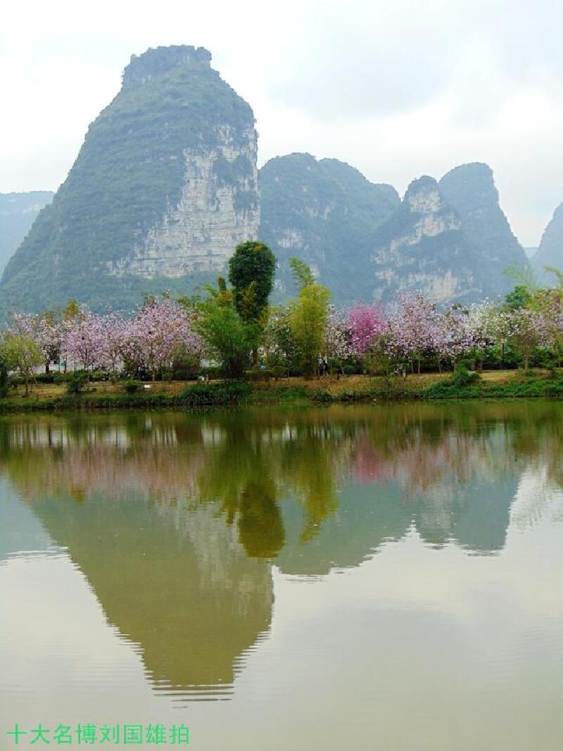 花千骨外景地紫荆花开醉美天下