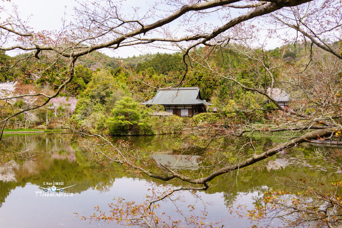 要说龙安寺的汤豆腐也没有惊人的美味,而是吃豆腐的地方确实格外的