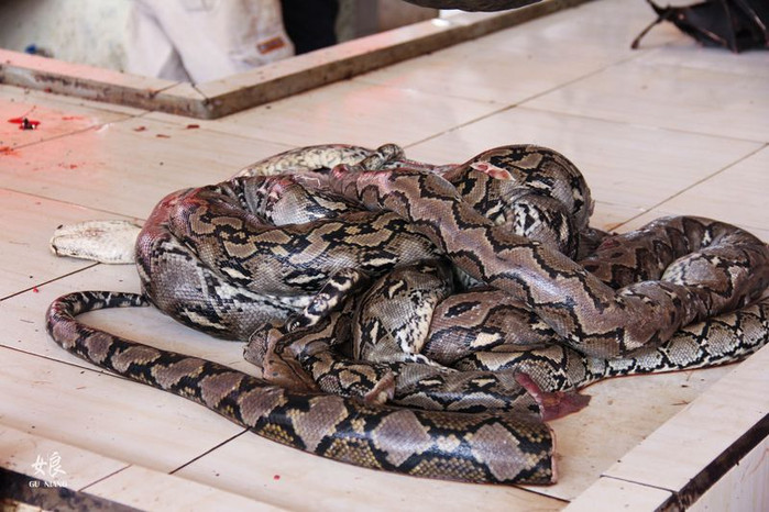 在往摊位里面走,是一个卖蛇的摊位!超粗的蟒蛇,被剁成了一块块的!