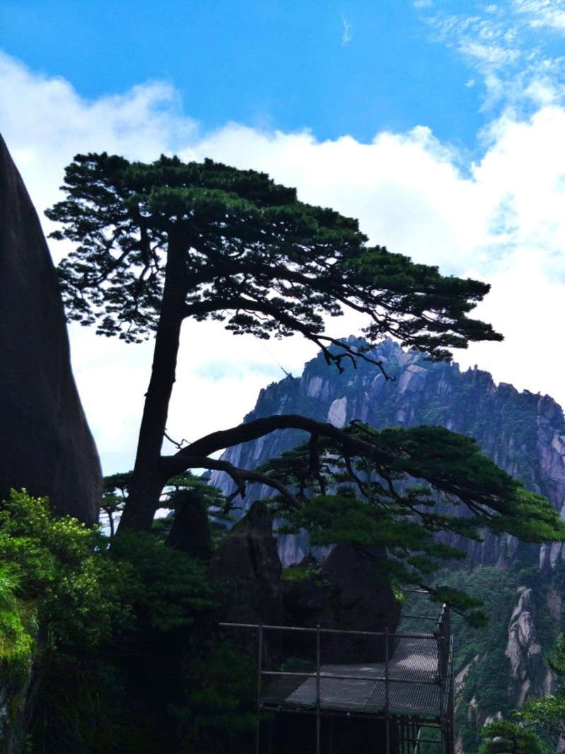 山行記——黃山,井岡山之行