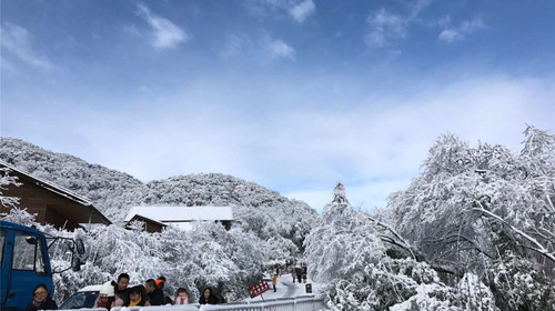 金佛山雪景