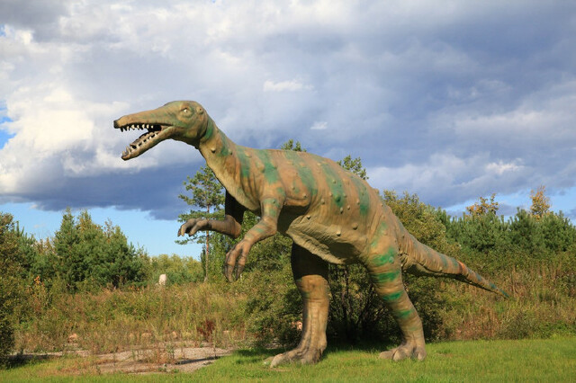 伊春的森林里,五彩斑斓的秋韵之美