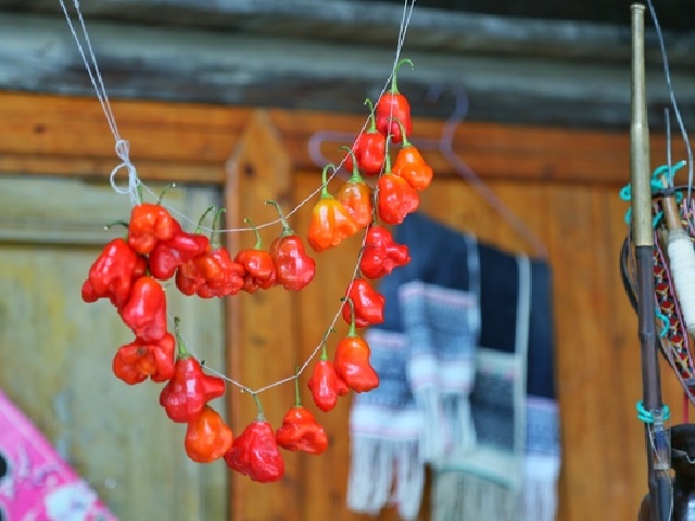 挂着很有造型的彩椒,很有爱的感觉,心行的有木有?