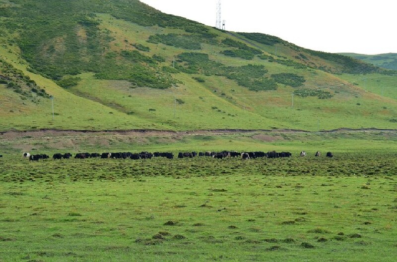 九寨沟若尔盖 | 和老友一起看沿途的风景