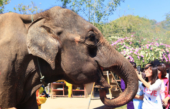 有一个地方他们叫它西双版纳,而我叫它天上人间