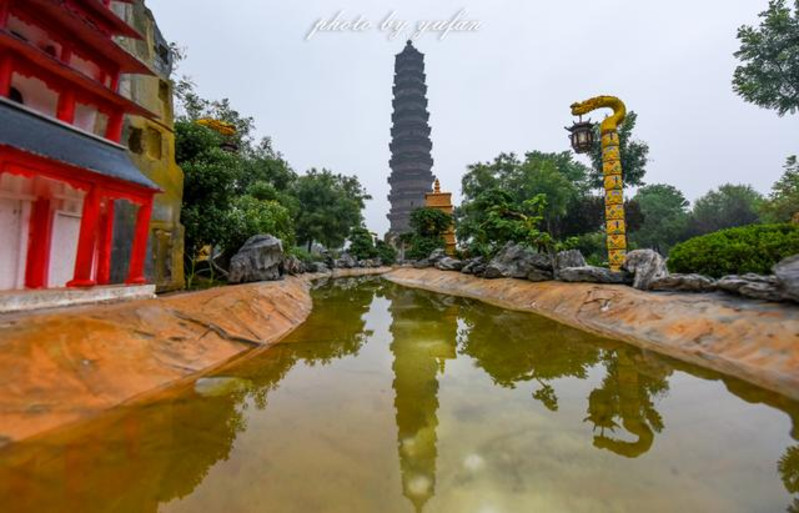 開封菊花展地點:龍亭公園,天波楊府,鐵塔公園等;3,門票:成人票40元