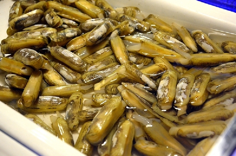 佰翔软件园酒店自助餐厅--家般温馨舒适高性价比的自助餐厅