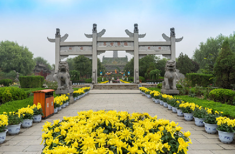 开封铁塔公园金秋尽显菊韵茶香开封铁塔公园金秋尽显菊韵