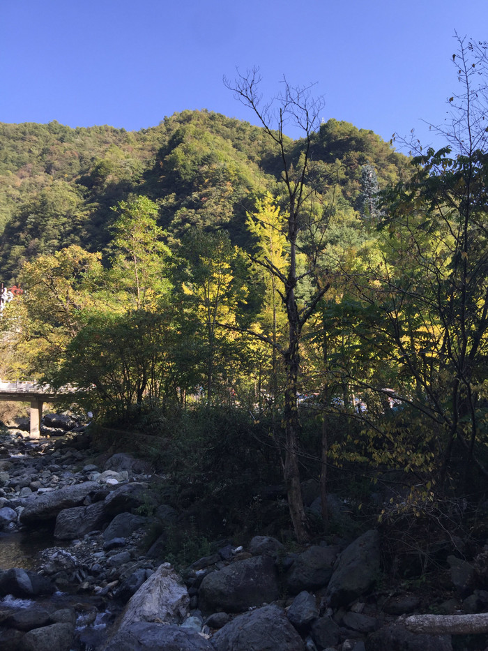 景在路上之十一神農架 寧夏吳忠 楊孝娟【多圖】_松柏鎮遊記_途牛