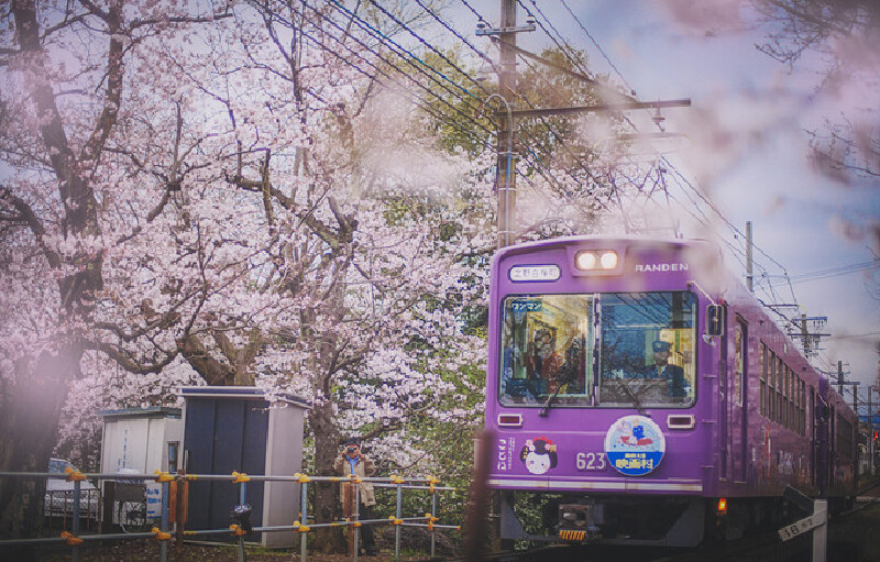 想醒来的樱花梦——关西樱花祭(250张美图,京都大阪全攻略)