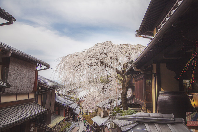 从清水寺下来,往下走去二年坂三年坂,真是人山人海……在京都几天都