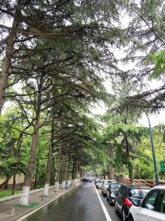 紫荆关路全景