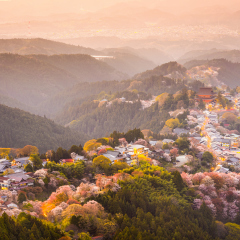 景点模块 