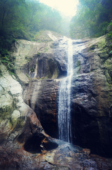 在追梦谷的清凉桥和君山天瀑之间的旅游步道上有很多古玉兰,据专家