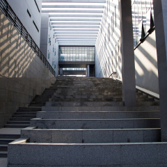 南开大学