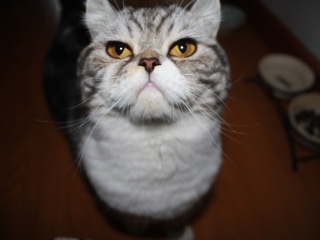 萨拉戈萨天气预报