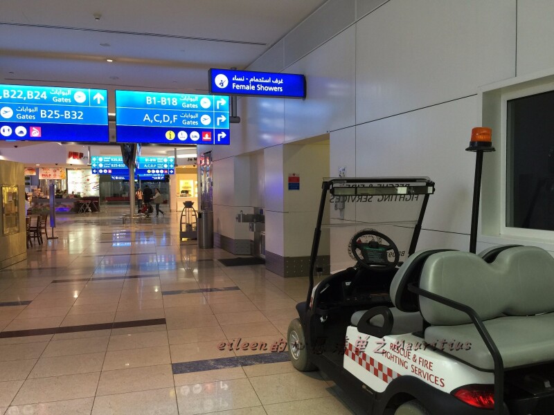 毛里求斯蜜月游,致我们的爱情心愿_毛里求斯海豚湾游记_途牛