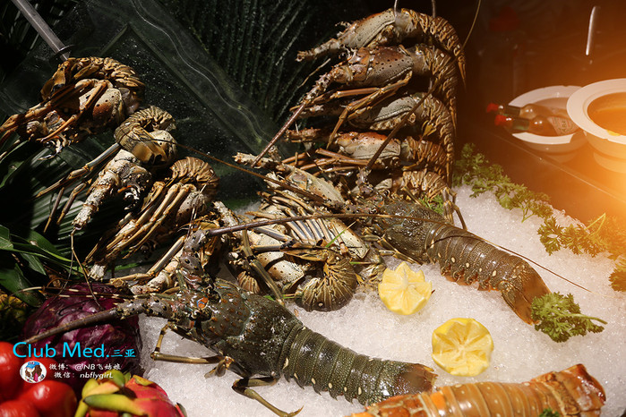 club med 三亚:当法式浪漫撞上我的地中海蓝白梦