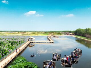 溱湖国家湿地公园