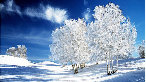 树挂图片大全最美,东北树挂雪景图片,雪中松树图片树挂雪景_大山谷图库