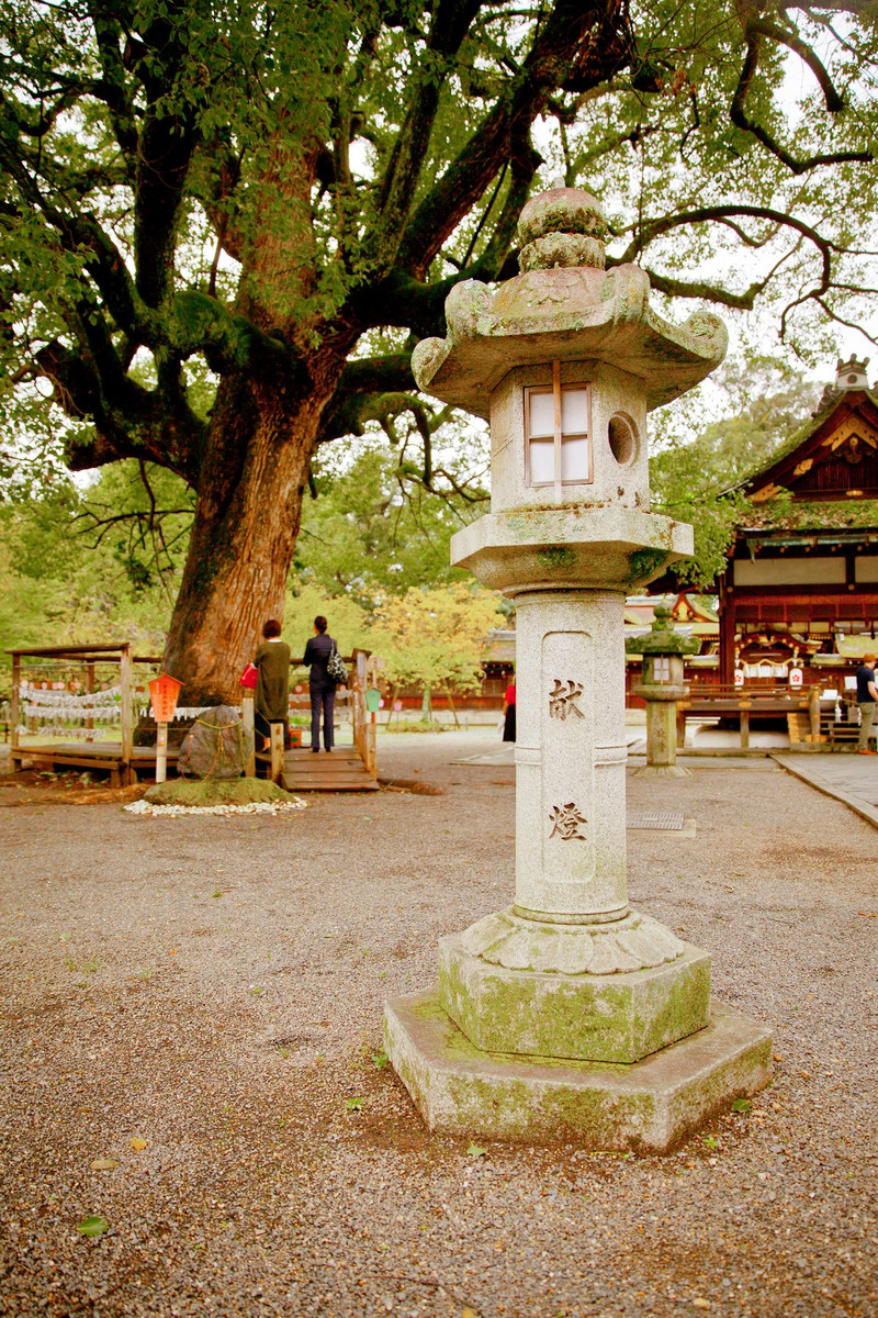 从北野天满宫的小门走出去不远,就到了平野神社