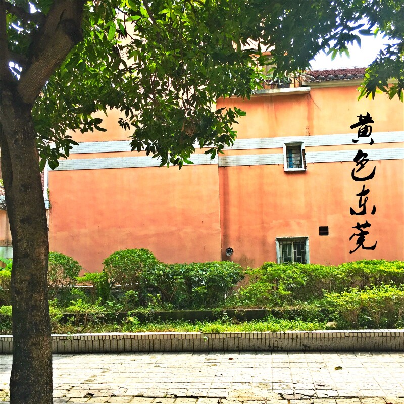 【黄色东莞】满足你的幻想