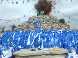 巴尔虎蒙古部落