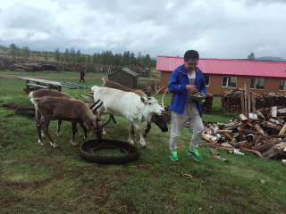莫尔道嘎白鹿岛