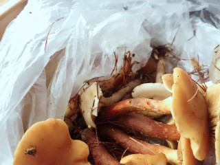 莫尔道嘎国家森林公园