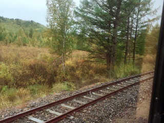 莫尔道嘎国家森林公园