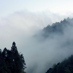 江西井冈山1