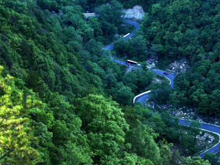 老界岭风景区