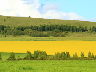 锡林郭勒大草原