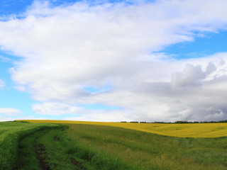锡林郭勒大草原