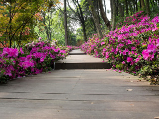 武汉东湖磨山景区
