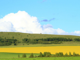 锡林郭勒大草原