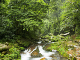 小溪自然保护区