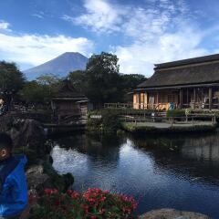 富士山+忍野八海