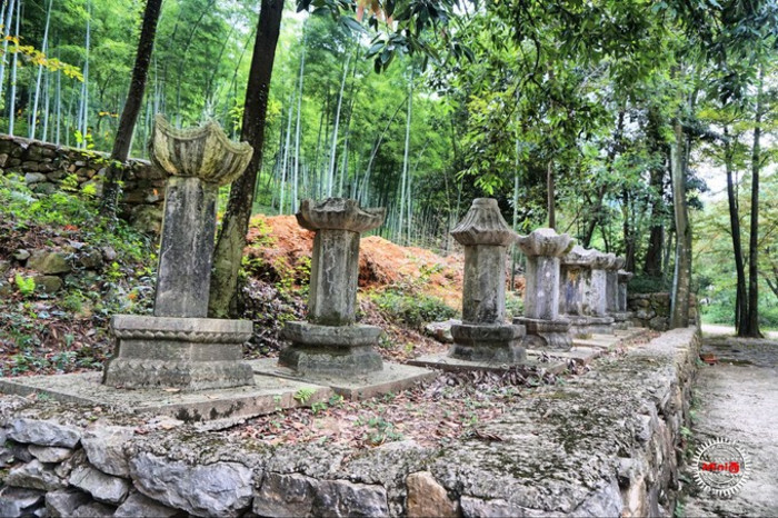 西的旅图之饮一盏岁月留香 宜兴湖父 湖