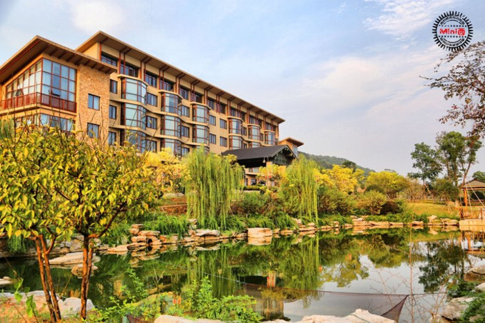西的旅图之饮一盏岁月留香 宜兴湖父 湖