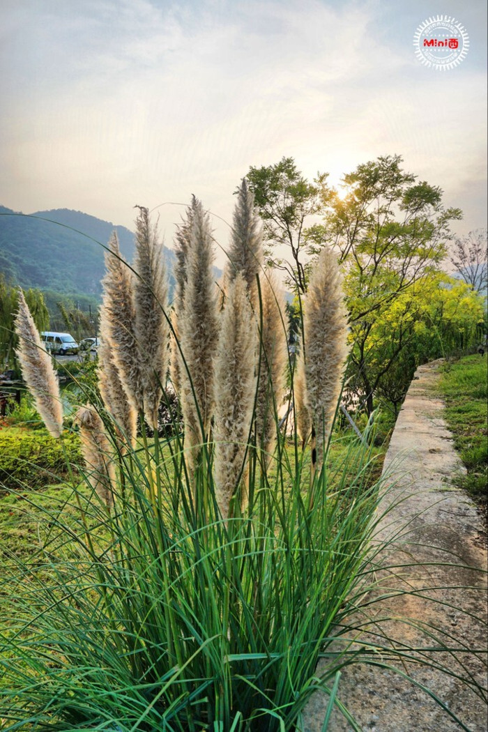 宜兴开元精舍酒店 夕阳透过月门,看尽人世阴晴圆缺.然后透过那一