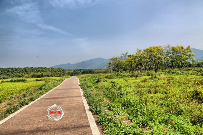 龍池山自行車公園