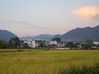 屏山村