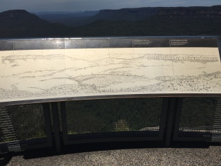悉尼蓝山国家森林公园