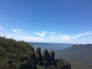 悉尼蓝山国家森林公园
