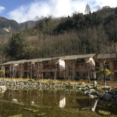 宝兴县