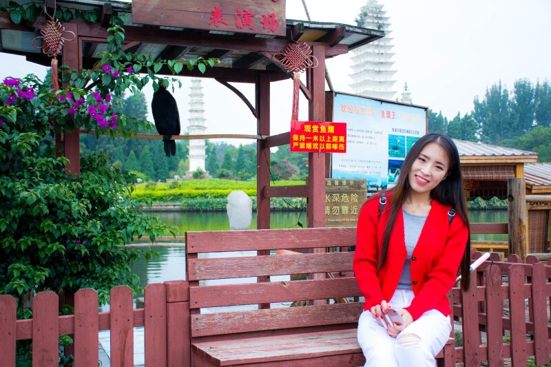 七彩云南——一场来不及多做计划的蜜月行