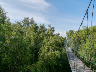 卡皮拉诺吊桥公园